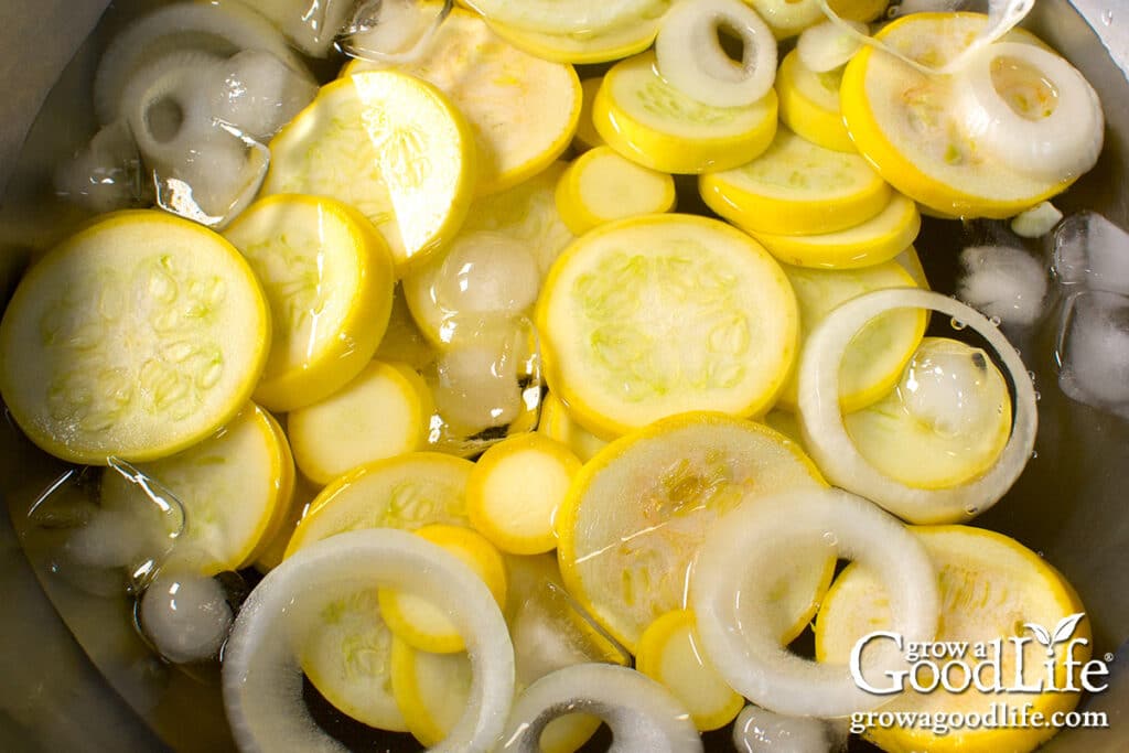 Sliced summer squash and onions soaking in a bowl of salted ice water.