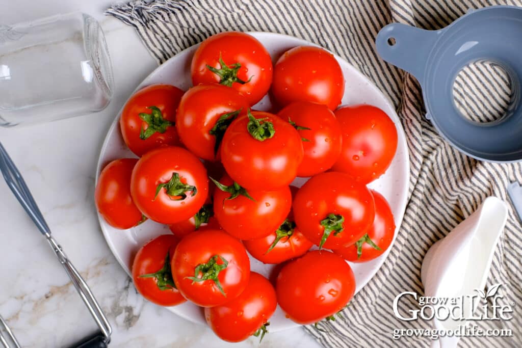 Overhead view of fresh tomatoes on a plate.