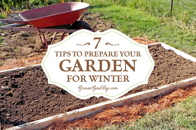 Taking the effort to clean up the vegetable garden beds in fall makes it very easy to begin growing the following spring. Tips to do before the snow flies.