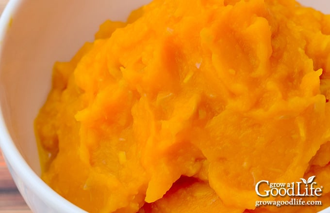 closeup of a white bowl filled with pumpkin puree