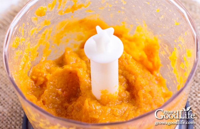 pumpkin puree in a food processor