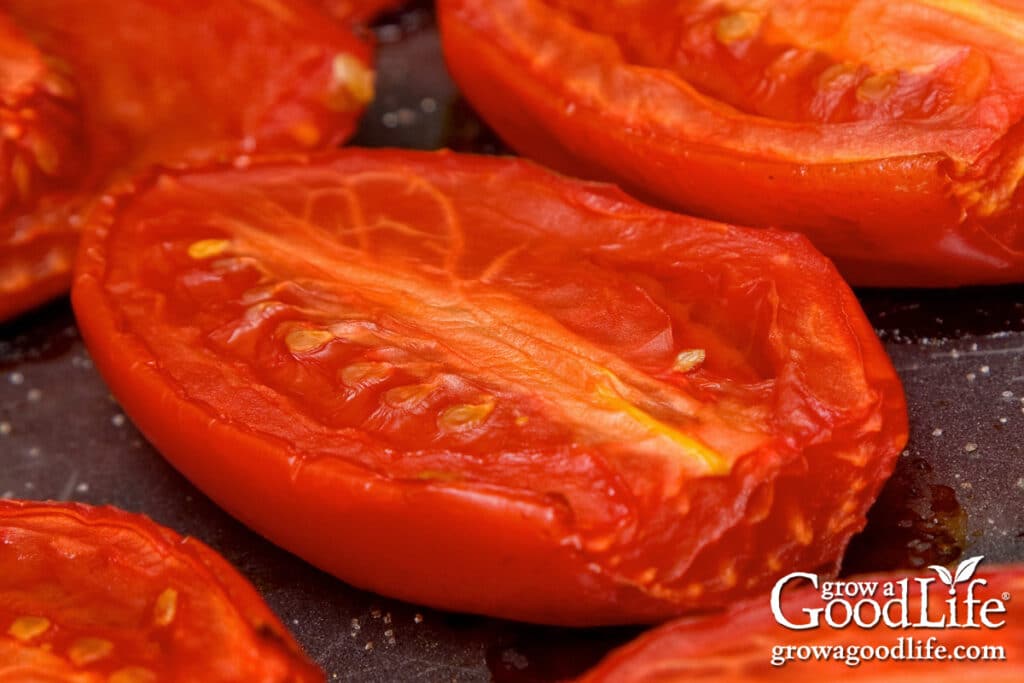 Close up of roasted tomatoes on a baking sheet pan.