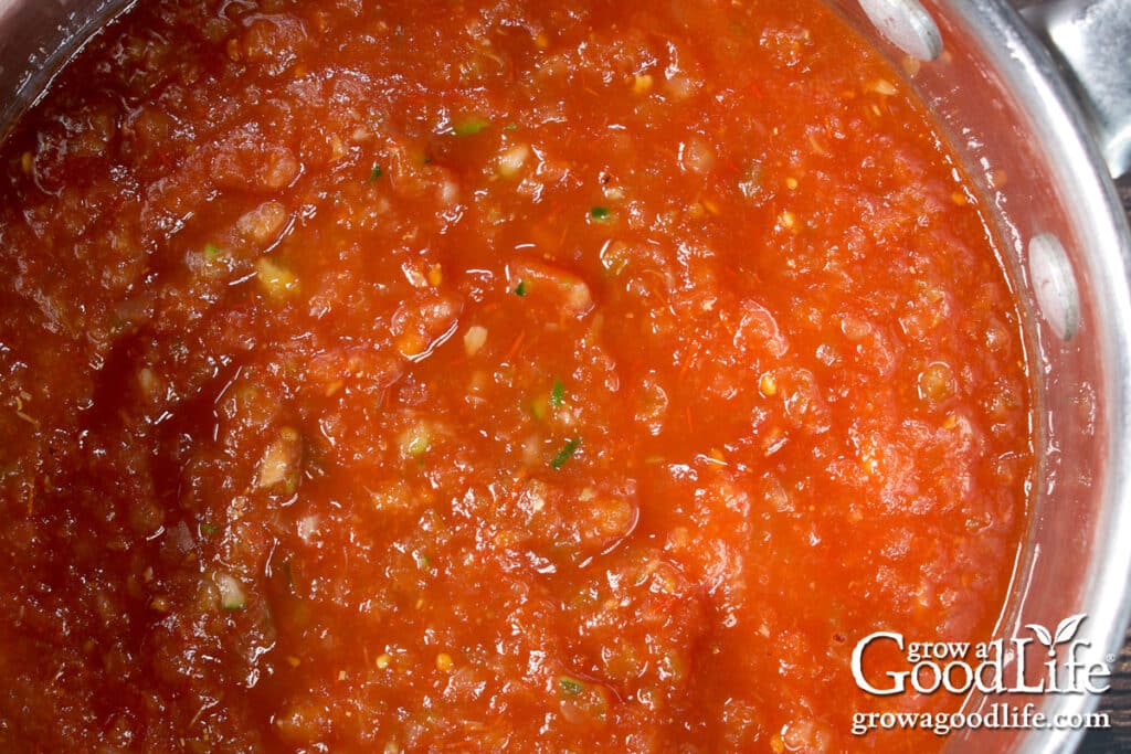 Close up view of blended salsa in a saucepot.