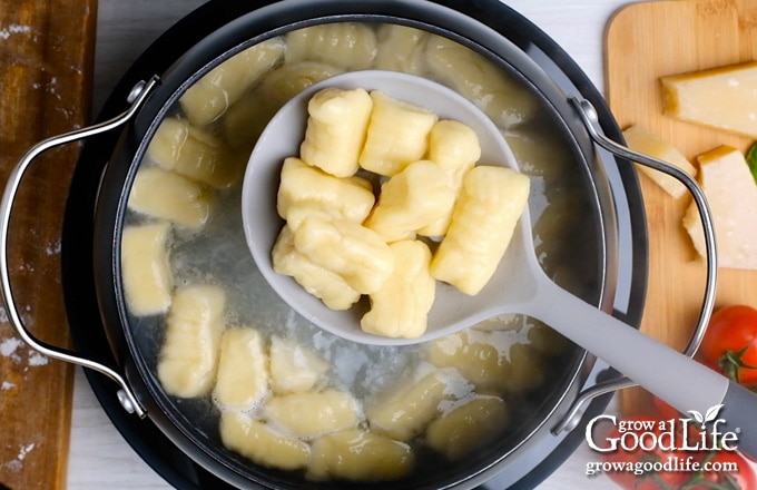 overhead image of gnocchi cooking in boiling water