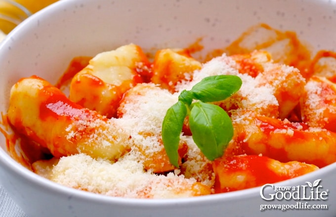 bowl of Italian ricotta gnocchi and tomato sauce on a table