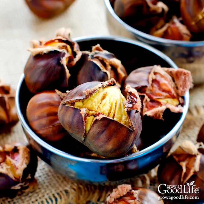 roasted chestnuts in a bowl