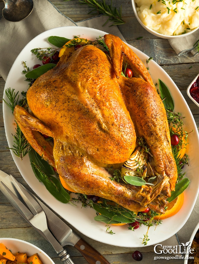 overhead photo of a roasted turkey on a table