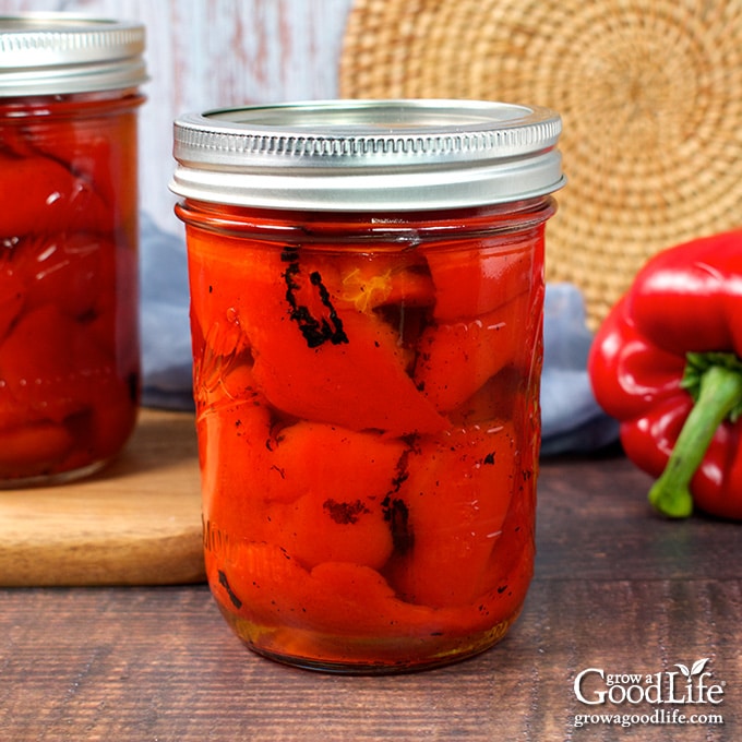 Jars of home canned roasted red bell peppers on a table.