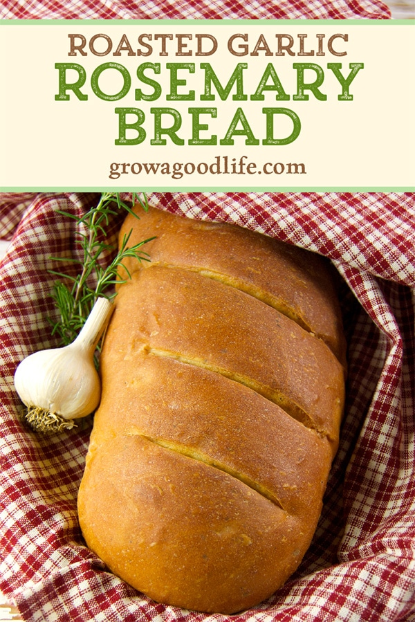 This garlic rosemary bread recipe has a whole head of roasted garlic baked into the dough. Oven roasting mellows the flavor of garlic and the soft, roasted cloves vanish into the bread dough giving you a mild garlic flavor with each and every bite.