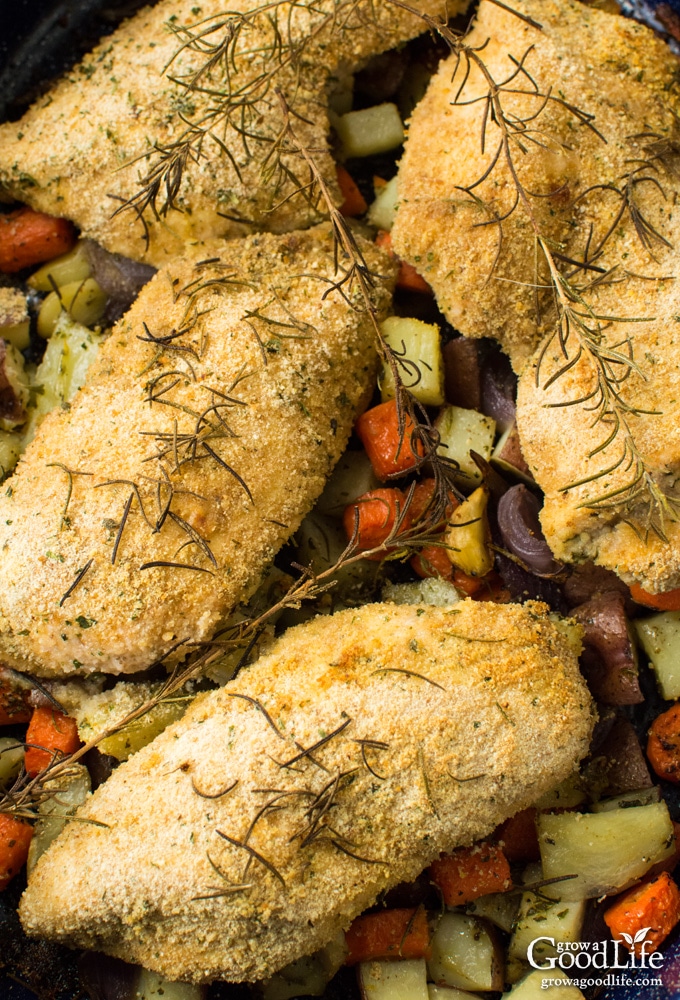 Something extraordinary occurs when vegetables are roasted. The high heat crisps up the outside of the vegetables and locks in their natural flavor. Then that flavor transforms, sweetens and intensifies as it roasts. This one-pan, roasted rosemary chicken and vegetables recipe is an easy to prep meal bursting with flavor.