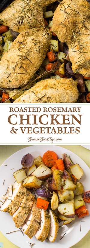 Something extraordinary occurs when vegetables are roasted. The high heat crisps up the outside of the vegetables and locks in their natural flavor. Then that flavor transforms, sweetens and intensifies as it roasts. This one-pan, roasted rosemary chicken and vegetables recipe is an easy to prep meal bursting with flavor.