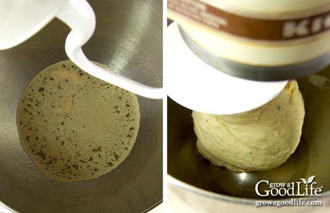 bread dough kneading in a stand mixer