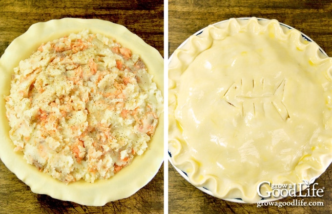 salmon pie filling