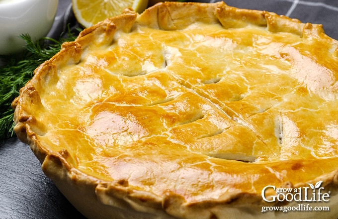 closeup of baked salmon pie with golden crust