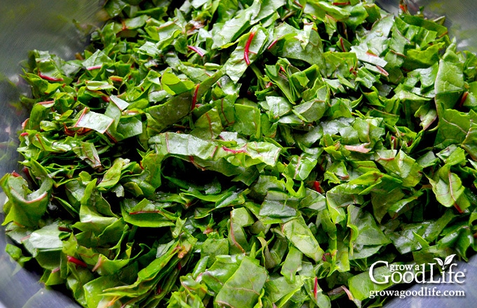 chopped beet greens in a bowl