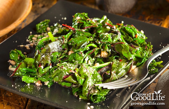 sautéed beet greens on a dark grey plate