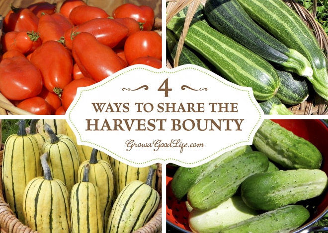 What do you do after you have preserved all the harvest that you can and the garden is still producing? Even when you take the time to try to estimate how many plants to grow for fresh produce and enough to preserve, often times there is a bumper crop of one thing or another. Here are some ways to share the harvest bounty instead of tossing the extras into the compost bin.