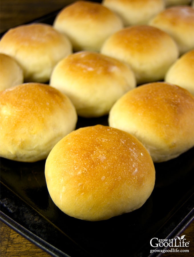 These mini slider buns make fantastic appetizer sandwiches, such as mini burgers, pulled pork sandwiches, and even breakfast sandwiches. See how to bake your own slider buns from scratch.