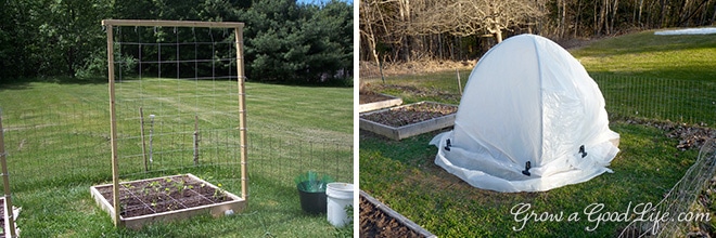 If you are just starting a garden or want to expand, the Square Foot Garden method is worth considering - No digging or tilling required.