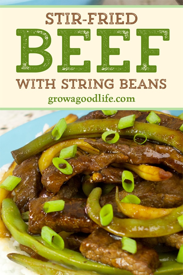 plate of stir fried beef and string beans on a table