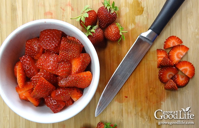 With just a few simple ingredients, this strawberry vinaigrette salad dressing is easy to whip up in a blender or food processor. Drizzle this tangy strawberry vinaigrette on freshly harvested salad greens or a mixed fruit salad. It also pairs well with robust greens such as chard, chicory, collards, kale, mustard, and spinach.