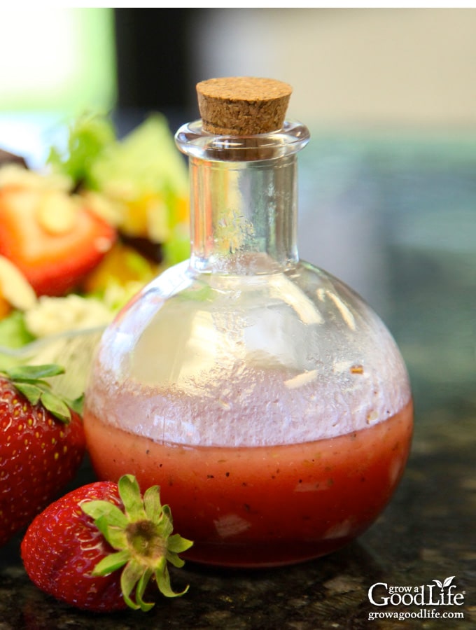 With just a few simple ingredients, this strawberry vinaigrette salad dressing is easy to whip up in a blender or food processor.