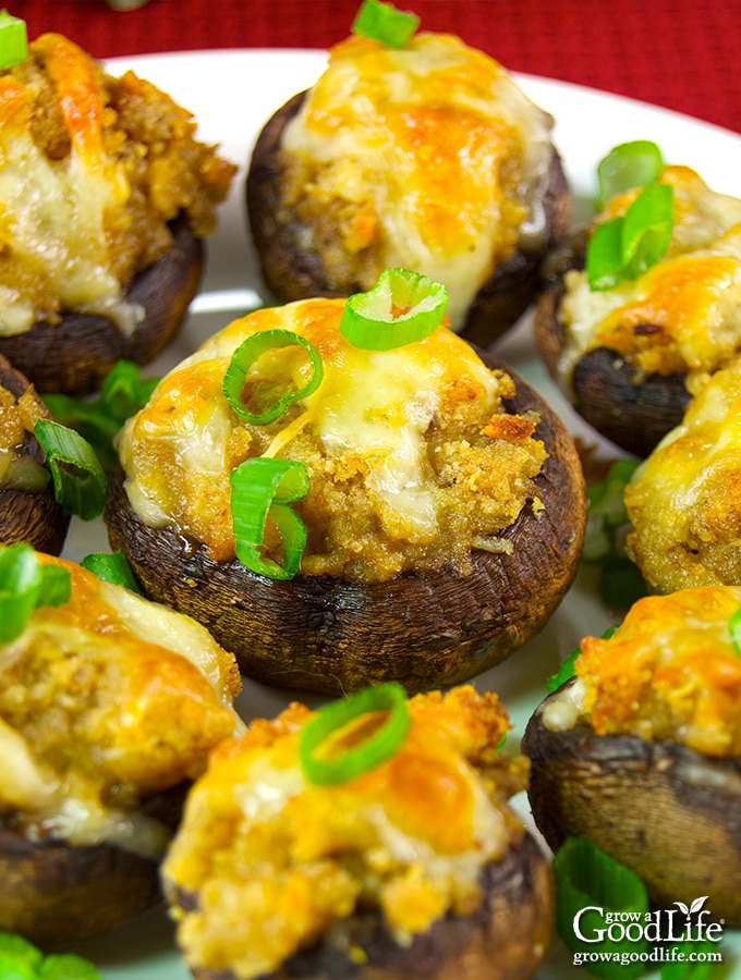 These garlic and cheddar stuffed mushrooms are a great appetizer for parties, cocktail hour, or game day. Baby bella mushrooms filled with garlic and cheddar stuffing and topped with cheddar cheese. Try this garlic and cheddar stuffed mushrooms recipe for a flavorful, bite-sized appetizer!