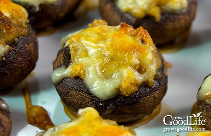 baked garlic and cheddar stuffed mushrooms in a baking pan