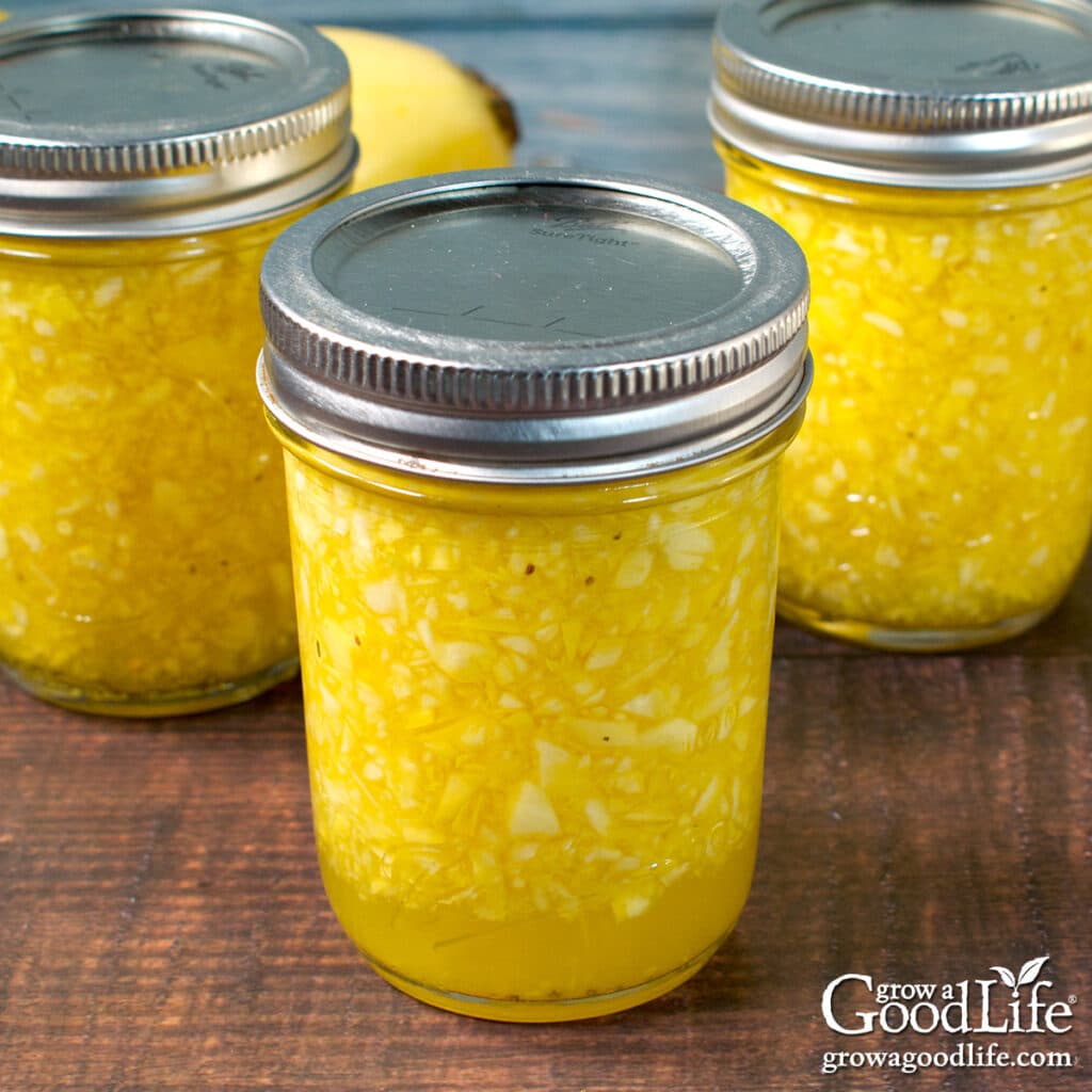 Jars of home canned yellow summer squash relish on a table.