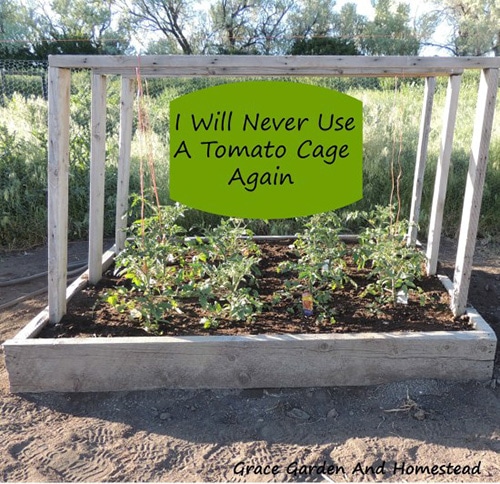 Tomato planter raised bed from Grace Garden and Homestead.