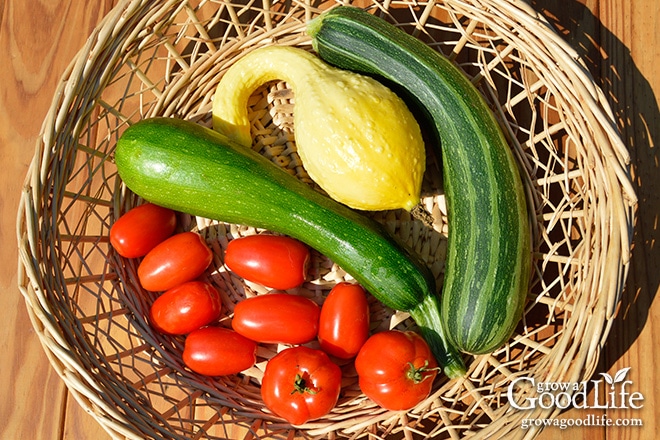 Celebrating the harvest and encouraging everyone to grow their own food! Sharing garden harvest photos for the week of August 17, 2015.