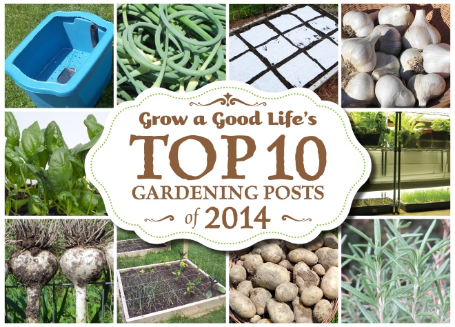 Top 10 Gardening Posts of 2014 at Grow a Good Life