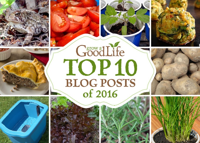 Here is some of the best content from Grow a Good Life over this past year. These are the top 10 gardening and simple living posts that you have viewed, pinned, and shared during 2016.