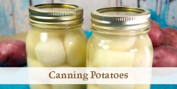 two jars of potatoes