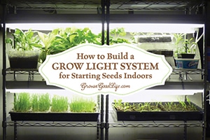 This inexpensive grow light shelving system is perfect for starting seeds indoors and growing greens in winter. See how you can assemble your own from some easy to find items: