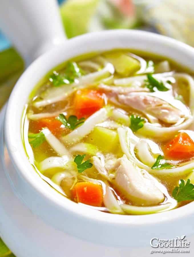 closeup photo of turkey noodle soup in a white bowl