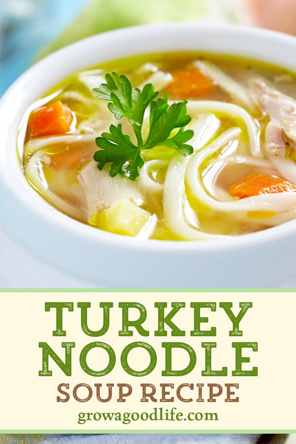 closeup photo of a bowl of turkey noodle soup