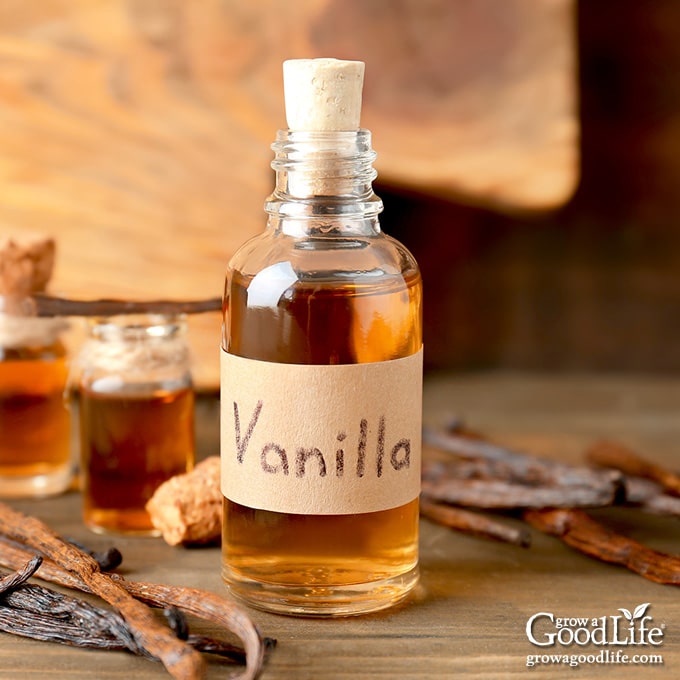 bottle of homemade vanilla extract on a table with vanilla beans