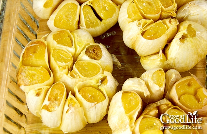 roasted garlic in a casserole dish