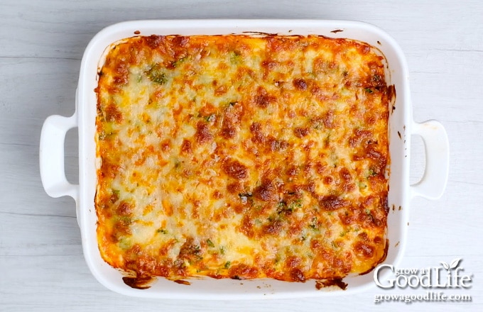 overhead image of baked lasagna